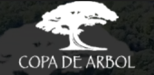 Copa De Arbol Offers the Ultimate Escape for Seasoned Travelers Seeking Seclusion at Costa Rica's Most Remote Eco-Luxury Resort