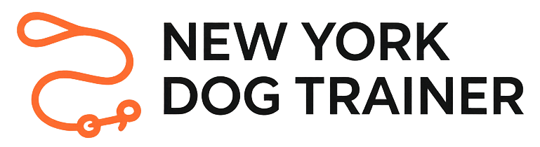 The New York Dog Trainer Shows Pet Owners How Building a Stronger Bond Leads to Faster and More Permanent Results